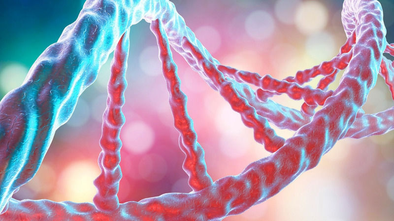 How Did Neanderthal Loves Shape Our DNA?