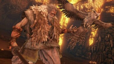 Sekiro Player Defeats Same Boss for 3 Years