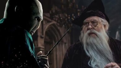 The Harry Potter Series Still hasn't Found its Voldemort