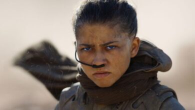 Why Will Dune 3 be the Final Movie