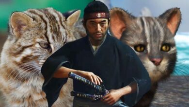 Ghost of Tsushima's Cat Narrowly Escapes Risk