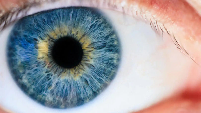 How Many FPS Do Our Eyes See?