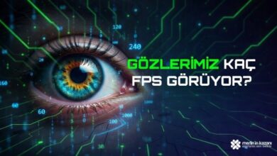 How Many FPS Do Our Eyes See?