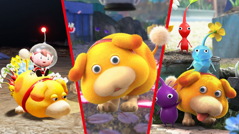 Pikmin Could Find a More Place in the Nintendo Universe