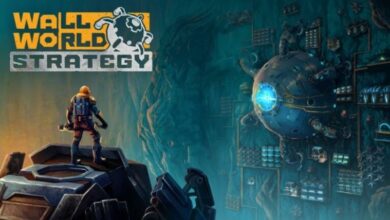 Wall World Strategy Announced