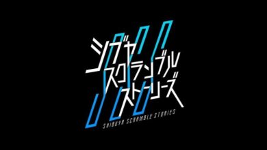 Where Did the Money for Shibuya Scramble Stories Go