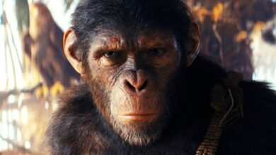 A New Planet of the Apes Movie is Coming