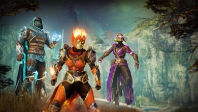 Destiny Infinity Plans Revealed