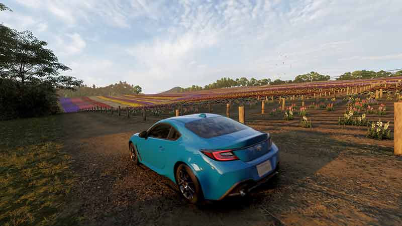 Forza Horizon 6 Review