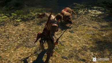 In Black Flag Resynced, Animals are Like Bosses