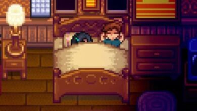 Stardew Valley Will Offer Players a Cheating Option, but...