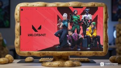 Vanguard Turned Valorant Cheaters' PCs Into Potatoes