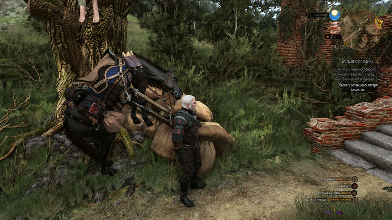 Why Does Geralt Name All His Horses Roach?