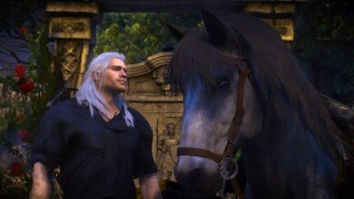 Why Does Geralt Name All His Horses Roach?