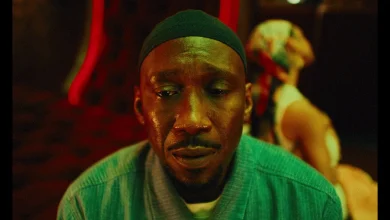 Your Mother Your Mother Your Mother Trailer Released
