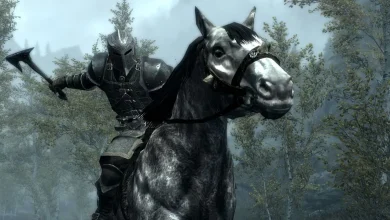 A Skyrim Player Completed the Game Without Taking a Single Hit