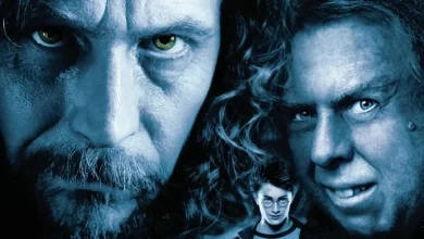 The Harry Potter and the Marauders Series was Canceled Before it Even Started