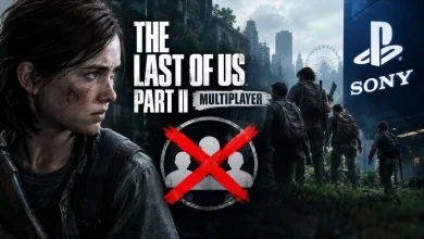 The Last of Us 2 Multiplayer Mod Had a Short Lifespan